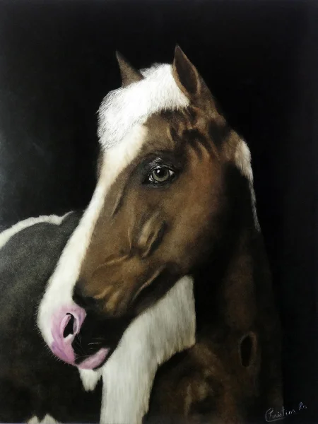 https://www.porcelainpainting.net/images/thumb/Horse.webp 1